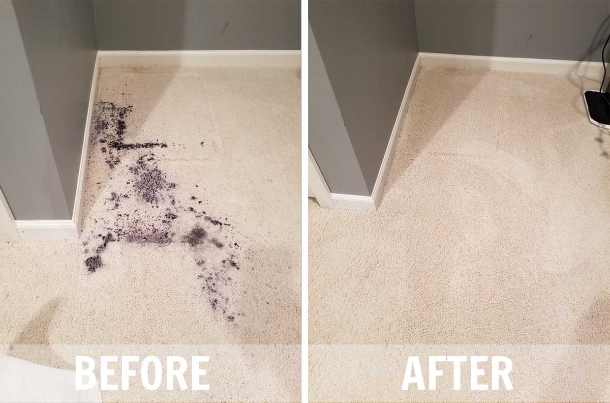 Before and after carpet cleaning